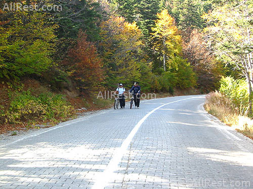 Grand Yazici Hotel 17